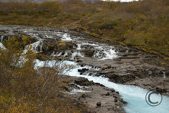 IMG_3493