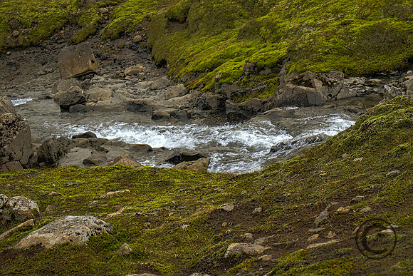 IMG_4034