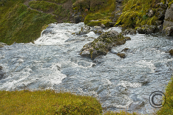 IMG_4379