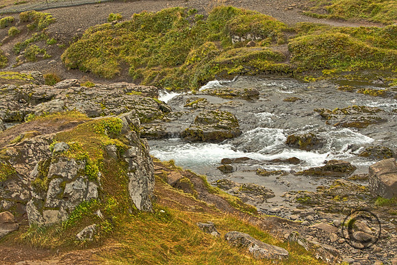 IMG_4415