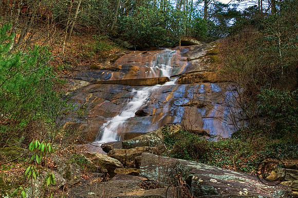 IMG_3119