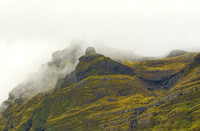 IMG_4433