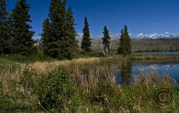 IMG_6058