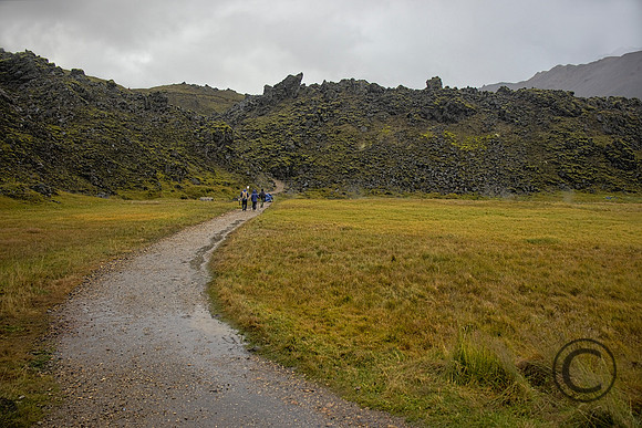 IMG_4695