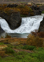 IMG_0547
