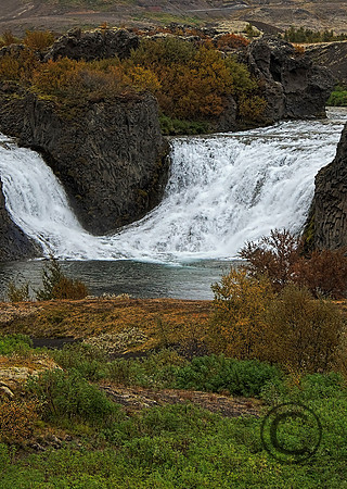 IMG_0547