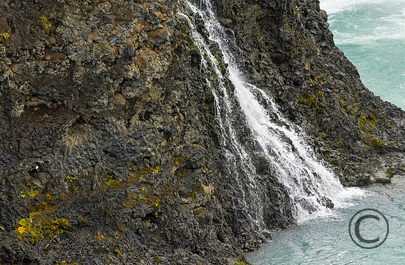 IMG_2708