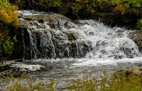IMG_1552