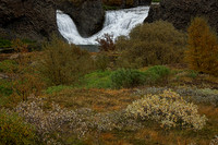 IMG_0560