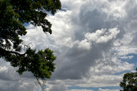 IMG_5180xx