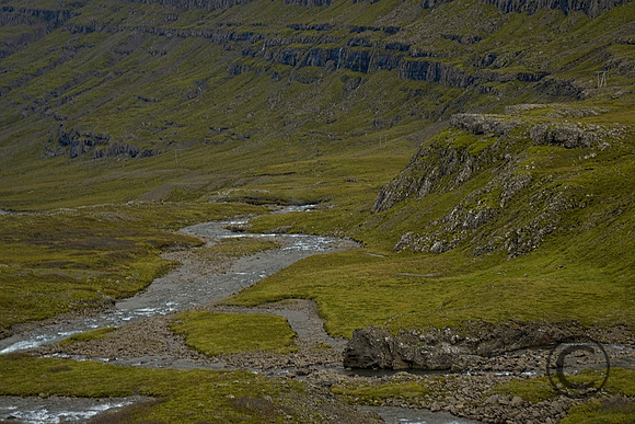 IMG_4017