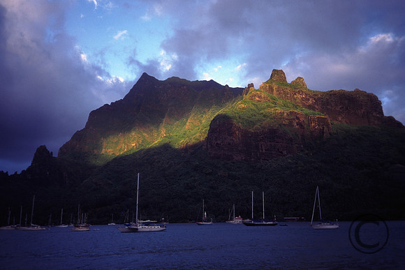1.3N-40