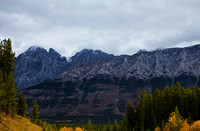 IMG_4530x