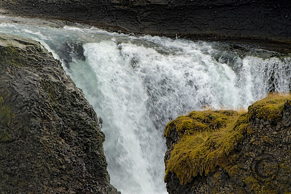 IMG_2731