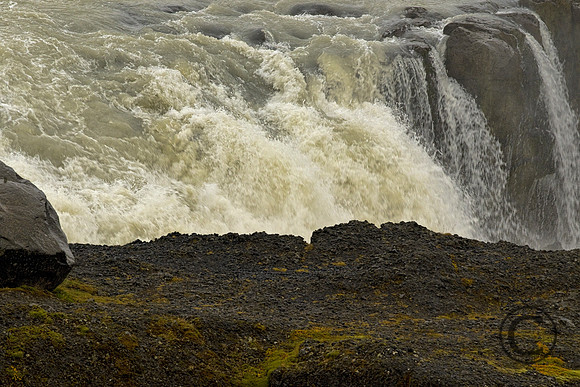 IMG_2798