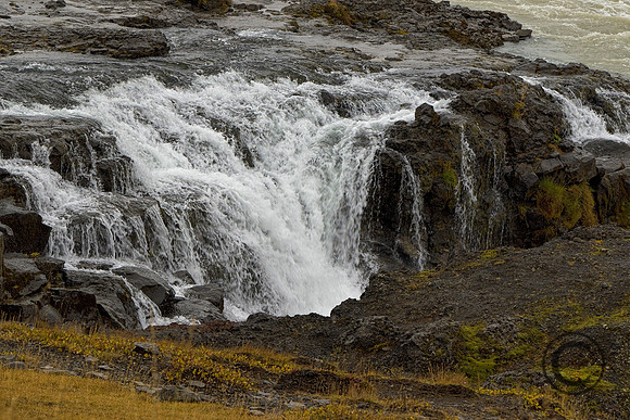 IMG_2796
