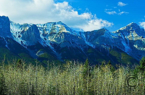 IMG_2850