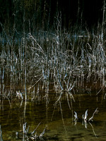 IMG_6232e