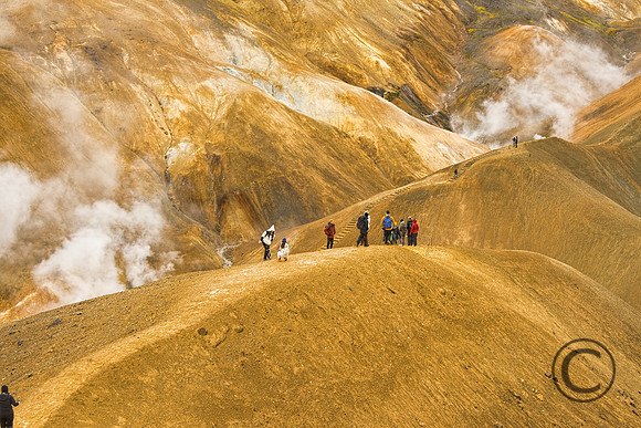 IMG_2896