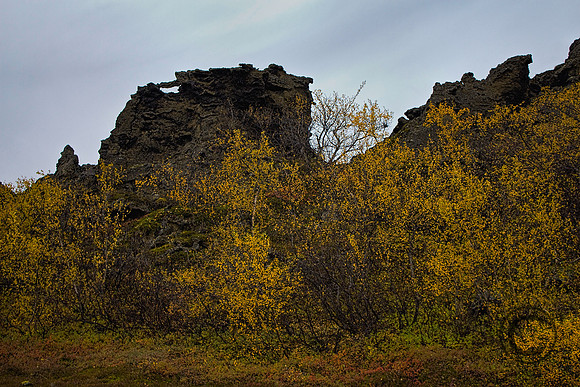 IMG_2860x
