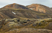 IMG_0454x