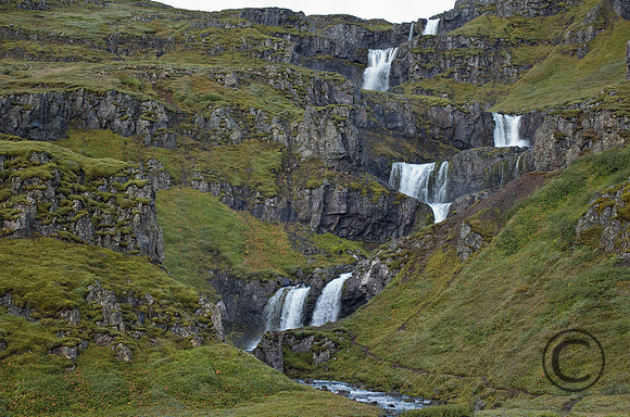 IMG_0315