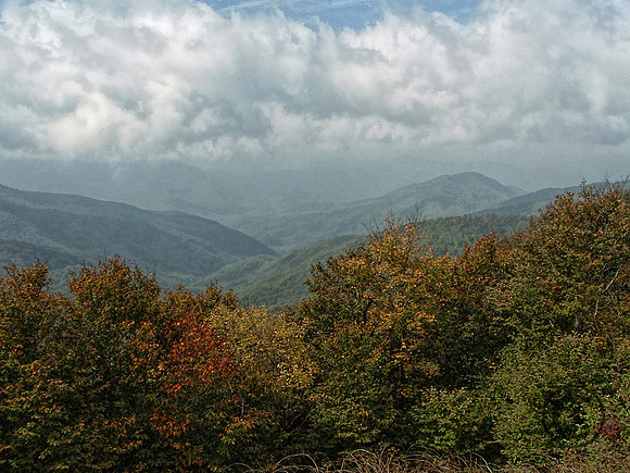 DSCF0197