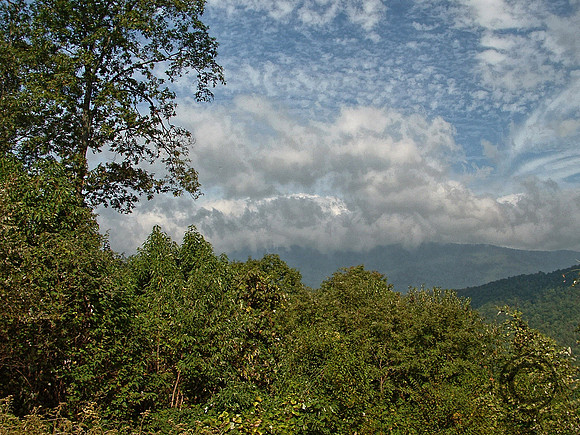 DSCF0185