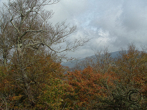 DSCF0198