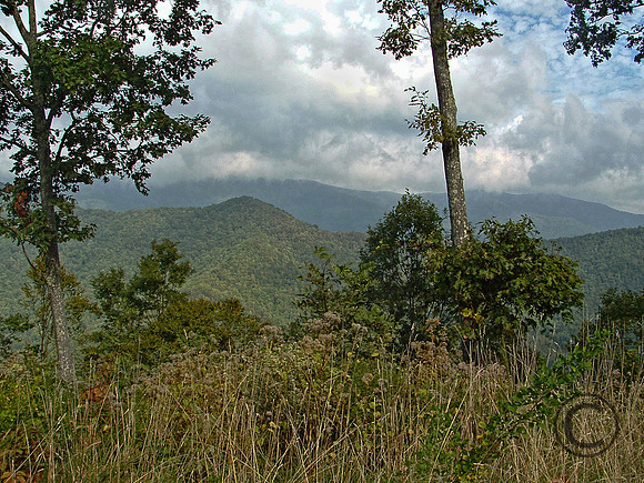 DSCF0187