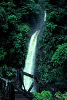 La Paz Waterfall Gardens