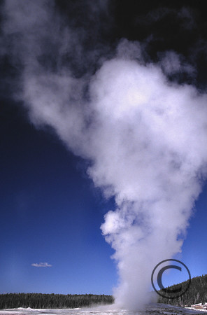 68.2C-8