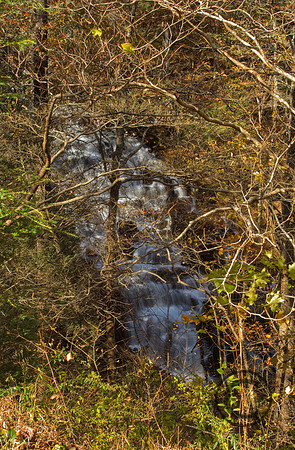 IMG_4036x