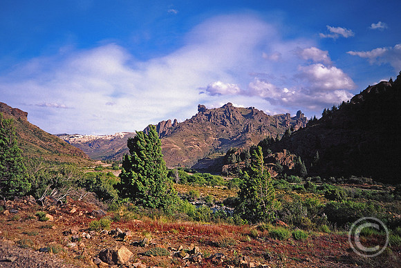 29.3E-34