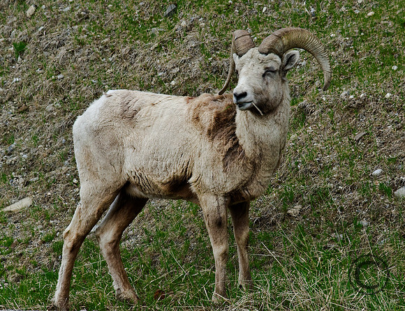 IMG_7641