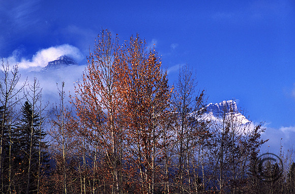 21.2E-41