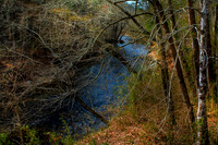 IMG_3033e