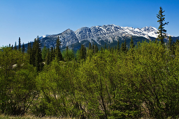 IMG_5995