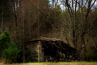 IMG_2771e