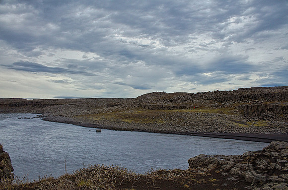 IMG_3335x