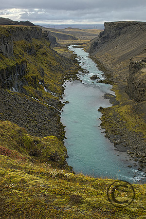 IMG_2653