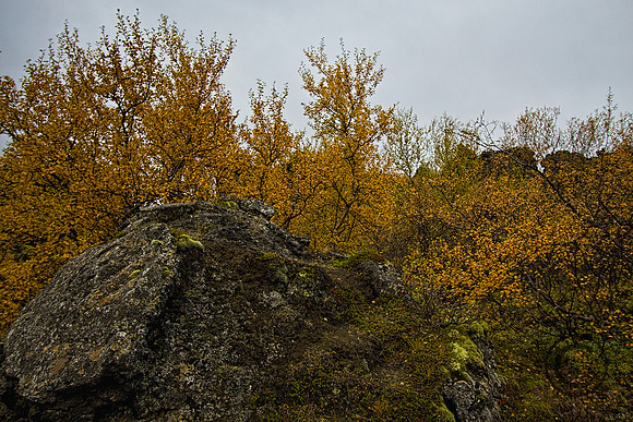 IMG_2850x